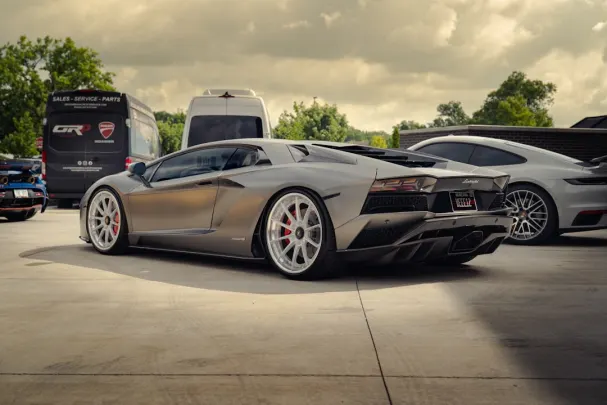 돌리 카지노 안드로이드/iOS 앱